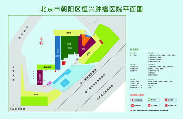 不要插进来，啊啊啊视频北京市朝阳区桓兴肿瘤医院平面图